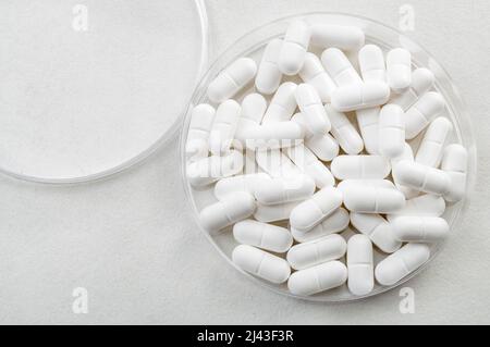 Laboratoire pharmaceutique et concept de recherche pharmaceutique avec des pilules médicales blanches dans une boîte de Petri isolée sur blanc avec un espace de copie Banque D'Images