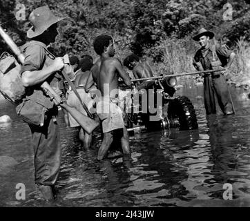 Capitaine allié de Mubo. Maniement sur une pièce d'artillerie américaine à travers un ruisseau près de Nassau Bay. Les armes ont été transportées dans un pays presque infranchissable. Les autochtones, en plus des troupes australiennes et américaines, étaient nécessaires pour mettre chaque arme en place. Quand ils ont ouvert le feu, ils ont causé la consternation aux JAP, mais les obus explosant étaient comme de la musique aux soldats alliés qui se battaient pour aller de l'avant dans des zones épouvantables. 4 août 1943. (Photo du Département de l'information du Commonwealth d'Australie). Banque D'Images