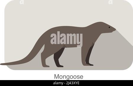 Mongoose simple et permanent de l'observation, vector illustration Illustration de Vecteur