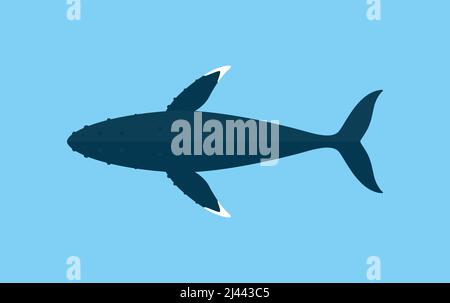 Les baleines à bosse nager dans la mer, l'icône des animaux télévision Illustration de Vecteur