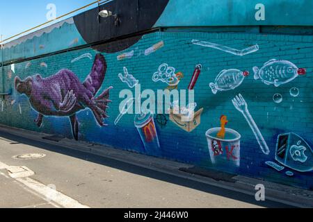 Platypus violet dans pollution Street Art, Frankston, Victoria, Australie Banque D'Images