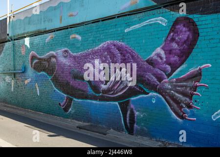 Platypus violet dans pollution Street Art, Frankston, Victoria, Australie Banque D'Images