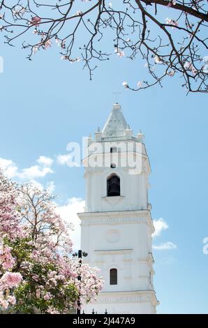Clocher de la cathédrale métropolitaine situé dans la vieille ville de Panama City par une journée ensoleillée Banque D'Images