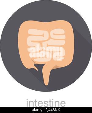 Icône de conception plate d'intestin d'organe humain, illustration vectorielle Illustration de Vecteur