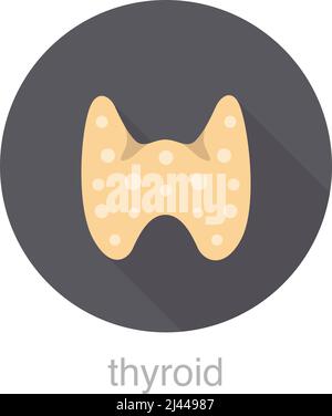 illustration vectorielle de la conception plate de la thyroïde d'organe humain Illustration de Vecteur