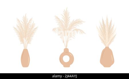 Sécher l'herbe de pampas dans les vases. Ensemble d'arrangements cortaderia dans le style boho. Fleurs séchées vectorielles isolées sur fond blanc. Design tendance pour Illustration de Vecteur