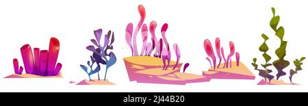 Récifs coralliens ou algues plantes sous-marines. Aquarium, algues marines et sous-marines isolées sur fond blanc. Racks, laminaria, varech marine vie aquatique tropicale Illustration vectorielle de dessin animé, ensemble d'icônes Illustration de Vecteur