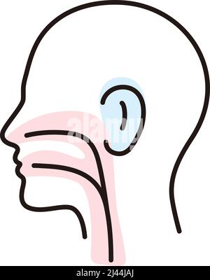 Organe humain gorge oreille nez plat icône, illustration vectorielle Illustration de Vecteur