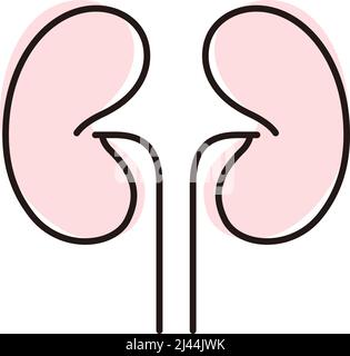 Icône de rein plat d'organe humain, illustration vectorielle Illustration de Vecteur