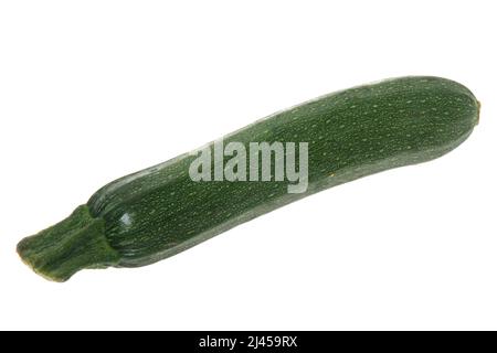 Eine Zuchini, Zucchini, Banque D'Images