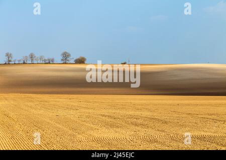 Paysage de champs ratifiés au printemps prêt pour l'ensemencement, village de Bygrave près de Baldock, Hertfordshire, Royaume-Uni Banque D'Images