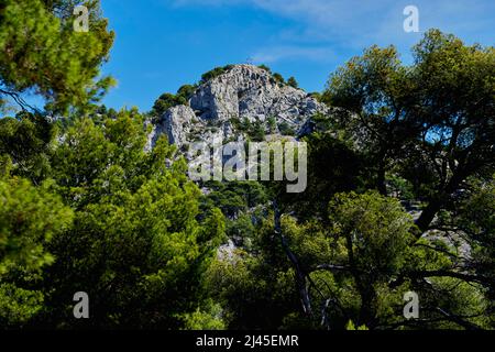 Toulon (sud-est de la France): Croix du point sublime au sommet du Mont Faron Banque D'Images