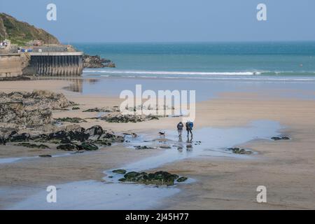 Une vue lointaine des randonneurs de chien sur Towan Beach à Newquay, en Cornouailles, au Royaume-Uni. Banque D'Images