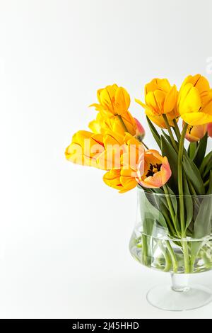 Un grand bouquet de grands tulipes jaunes dans un vase en verre sur fond blanc. Une composition élégante pour votre texte d'invitation, Félicitations. Banque D'Images