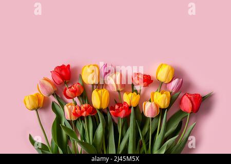 Un bouquet de tulipes de différentes couleurs sur fond rose. Un endroit prêt à l'emploi pour votre texte d'invitation, Félicitations. Banque D'Images