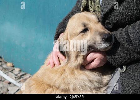 Femme âgée embrassant un chien d'un abri d'animal. Le concept de soins aux animaux sans abri. Photo horizontale. Banque D'Images