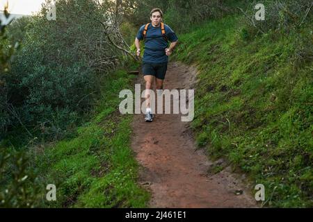 Manger sur le sentier de montagne. Prise de vue en longueur d'un beau athlète masculin qui court sur un sentier forestier. Banque D'Images