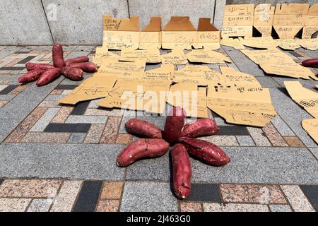 Japon. Tokyo. Pommes de terre rouges à vendre Banque D'Images