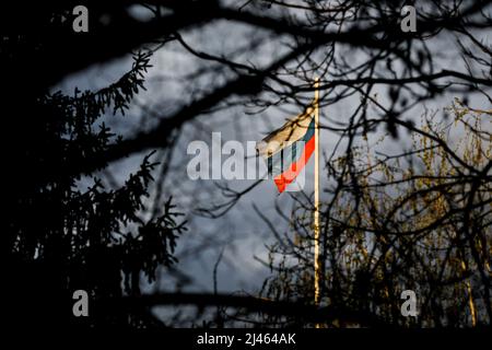 Drapeau russe sur un poteau agitant dans le vent, vu à travers de nombreuses branches d'arbres, avec des nuages pluvieux menaçants dans le fond. Banque D'Images