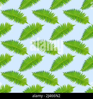 Motif de fougères vert sans couture avec ombres profondes dues à la lumière intense sur fond bleu Banque D'Images