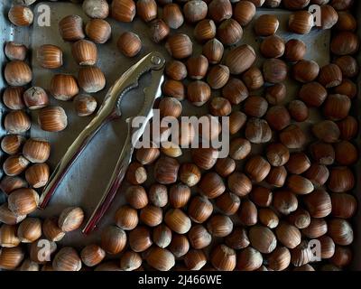 Pile de noisettes éparpillées sur un vieux plateau métallique en merde avec casse-noisette. Banque D'Images