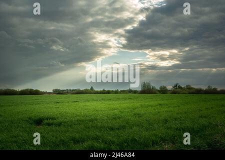 Un trou dans les nuages et le soleil éclairant un pré vert Banque D'Images