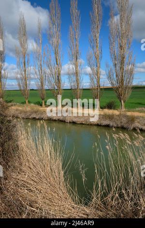 Canal de Castille - Canal de Castilla - près de la ville de Becerril de Campos, Castille et León, Espagne Banque D'Images