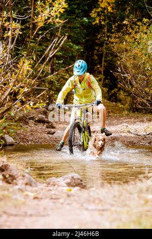 Jeune femme VTT avec son chien à l'automne Banque D'Images