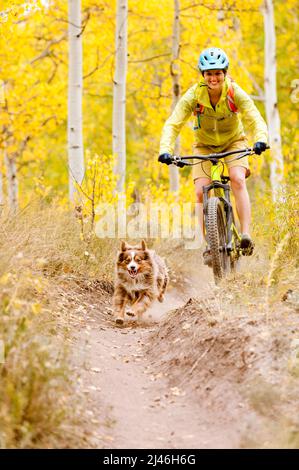 Jeune femme VTT avec son chien à l'automne Banque D'Images