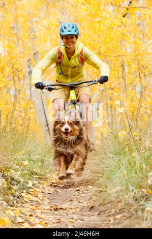 Jeune femme VTT avec son chien à l'automne Banque D'Images