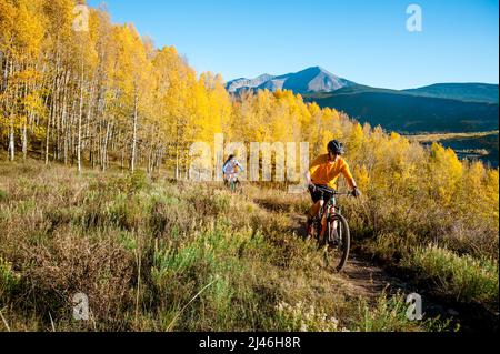 Un couple qui profite d'une balade en VTT à l'automne avec son chien Banque D'Images