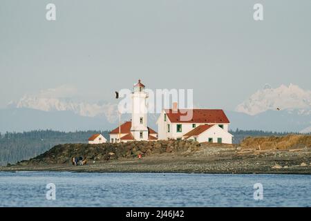 Vue sur un aigle à tête blanche survolant le phare de Port Wilson Banque D'Images