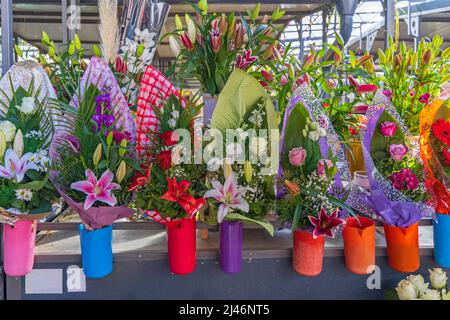 Magnifique collection de bouquets colorés à fleurs fraîches Banque D'Images