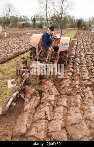 Gilford, Irlande du Nord. 23rd février 2008. Un agriculteur âgé conduit un tracteur d'époque lors du match de labour de Mullahead. Banque D'Images