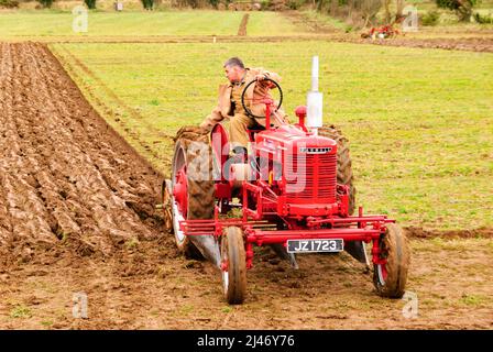 Gilford, Irlande du Nord. 23rd février 2008. Un agriculteur conduit un tracteur Farmall d'époque lors du match de labour Mullahead. Banque D'Images