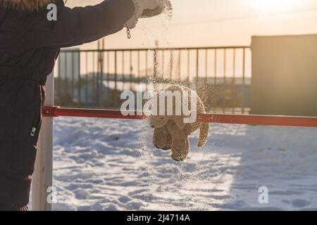 une jolie fille marche en hiver avec son chien en peluche Banque D'Images