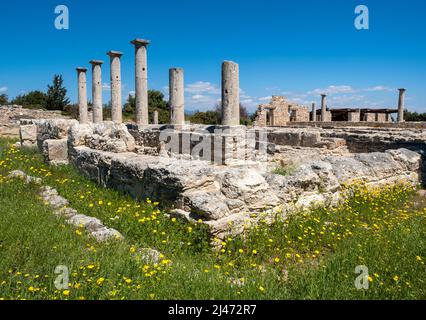 Colonnes autour des dortoirs du site romain du Sanctuaire d'Apollon Hylates, Episkopi, République de Chypre. Banque D'Images