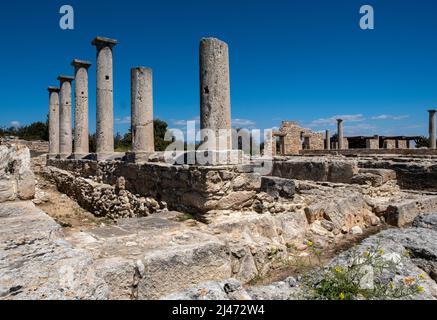 Colonnes autour des dortoirs du site romain du Sanctuaire d'Apollon Hylates, Episkopi, République de Chypre. Banque D'Images