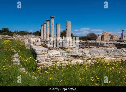 Colonnes autour des dortoirs du site romain du Sanctuaire d'Apollon Hylates, Episkopi, République de Chypre. Banque D'Images