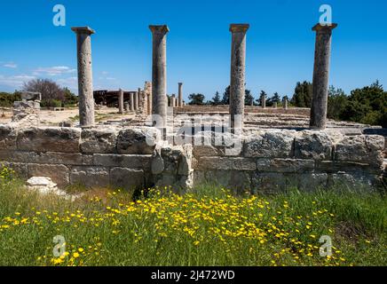 Colonnes autour des dortoirs du site romain du Sanctuaire d'Apollon Hylates, Episkopi, République de Chypre. Banque D'Images