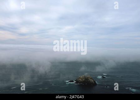 Brouillard au-dessus de McWay Cove, Big sur, Californie, États-Unis Banque D'Images