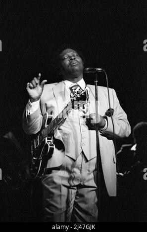 BB King se présente au Royal Festival Hall, Londres, Angleterre en 1984. Banque D'Images