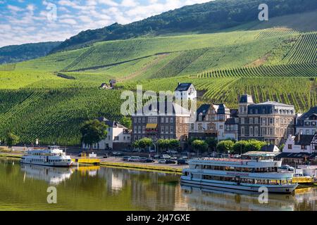 Bernkastel-kues, Allemagne. Vignobles sur des pentes raides en début de matinée. Banque D'Images