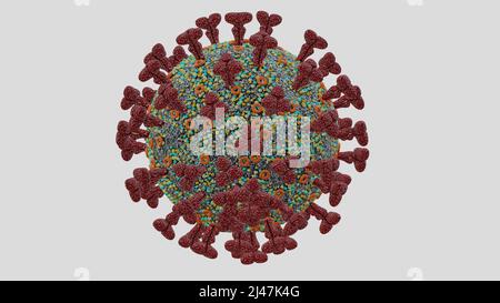 Virus OMICRON SARS-COV-2. Microscope électronique agrandissement taille ordinateur modèle, coronavirus, rendu 3D. Isolé sur blanc. Banque D'Images