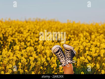 Pieds dans les baskets sur le champ jaune de fleurs, concept d'été Banque D'Images