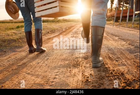 Plante des graines au printemps, qui récolte. Photo de deux agriculteurs méconnaissables portant une caisse sur une ferme. Banque D'Images