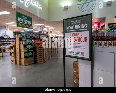 Woodinville, WA USA - vers avril 2022 : vue inclinée d'une affiche « nous embauchons » à l'intérieur d'une épicerie fraîche Haggen Northwest. Banque D'Images