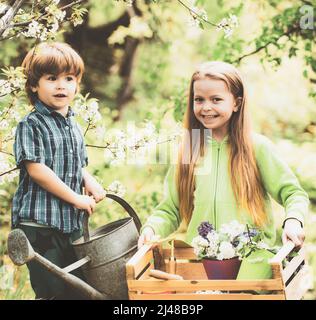 Outils de jardinage et de l'eau peut pour les enfants. Enfants plantant des fleurs de printemps dans un jardin ensoleillé. Jardinage de jeune garçon et de fille. Banque D'Images