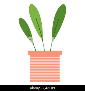 Plante maison avec trois feuilles dans un pot à fleurs carrées à rayures. La composition est isolée sur fond blanc. Convient pour le scrapbooking, textile, housse pour ordinateur portable, vaisselle, mugs, site web. Illustration vectorielle Illustration de Vecteur
