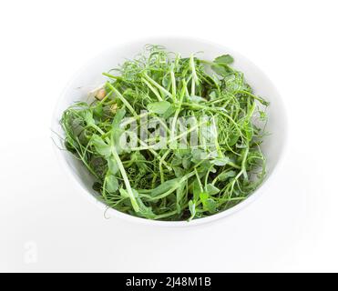 Microverts frais de pois dans un bol blanc isolé sur fond blanc Banque D'Images